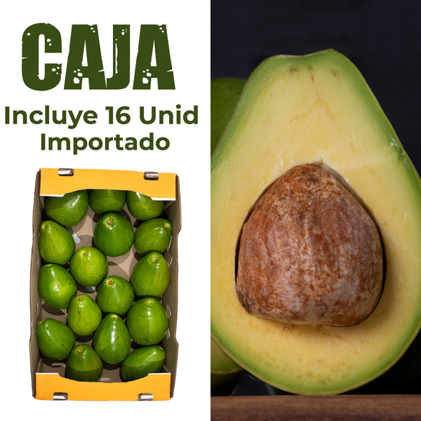 Aguacate Importado | Caja de 8kg 14-16 unidades aprox