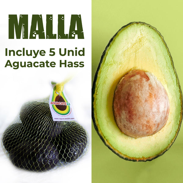 Aguacate Hass | Malla de 5 unidades