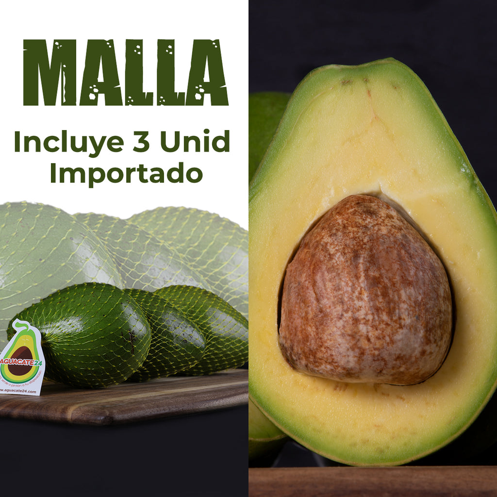 Aguacate Importado | Malla de 3 unidades