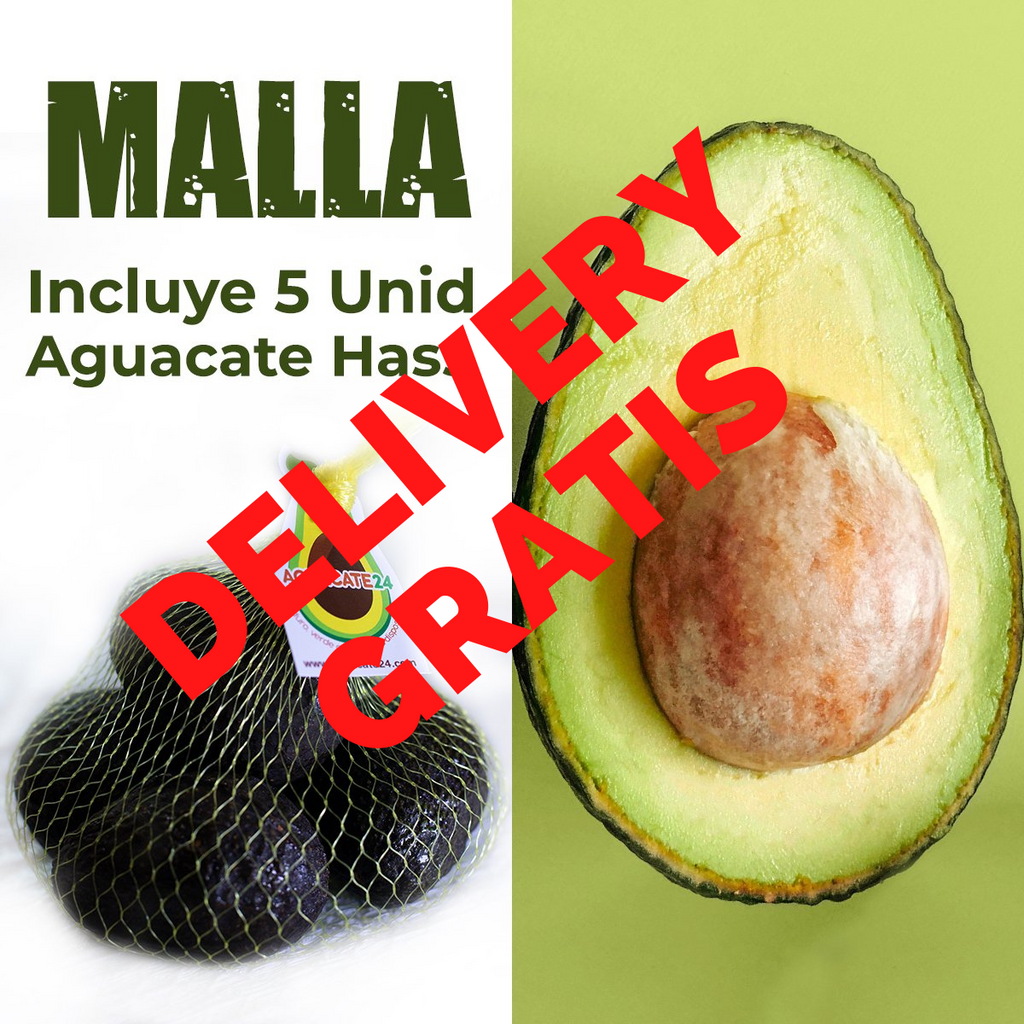 SUSCRIPCION DE AGUACATE HASS-1 Malla de 5 und semanal